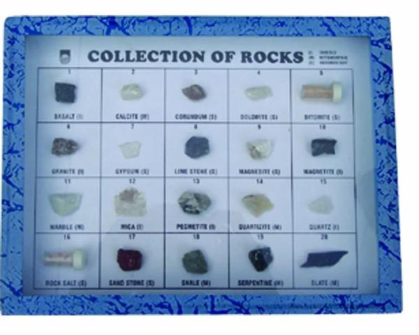 Collection of 20 Rocks Showcase