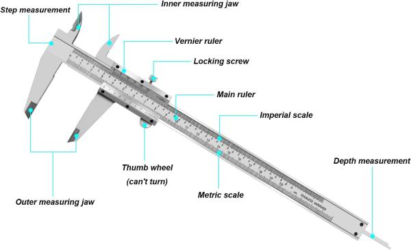 Vernier Caliper 8 Inch / 20 cm , Stainless Steel Precision Measuring Tool